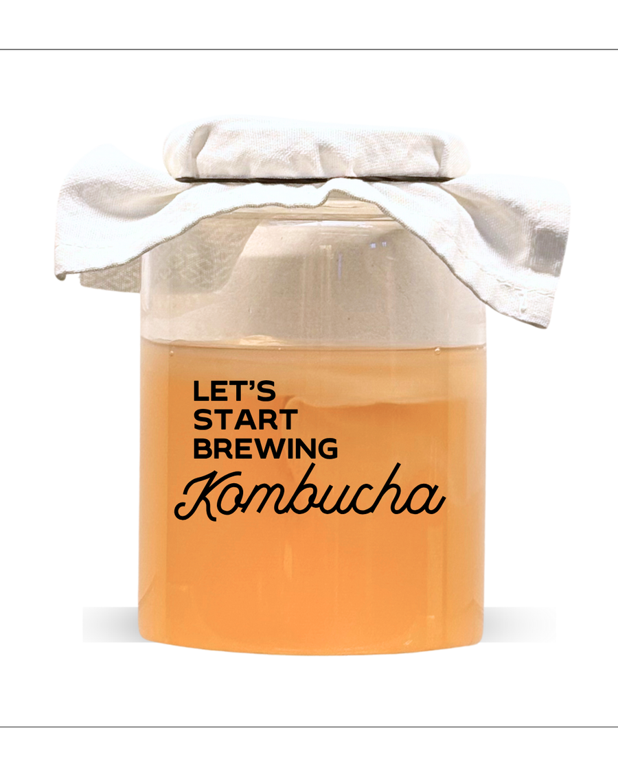 Kombucha Brewing Workshop & Lunch - 27 Sep 2025